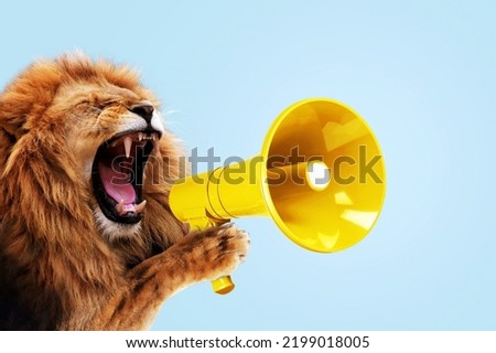 Cool beautiful lion holding and screaming into a yellow loudspeaker on a blue background. Business management and boss, a creative idea. Successful advertising and management, concept. Attention Royalty-Free Stock Photo #2199018005