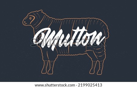 Sheep, Mutton vintage sketch. Lamb silhouette with grunge texture. Vintage poster. Typography. Vector illustration.