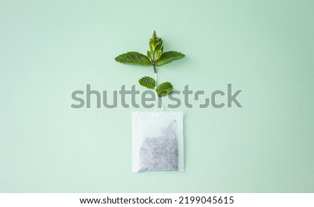 On a green isolated background, a paper bag of mint tea, a green branch of mint, a medicinal plant.  Creative photography, flat lay, alternative medicine concept, natural herbs.  Background picture.