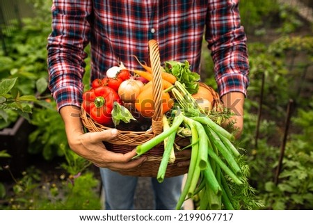 Basket with vegetables, carrots, onion, radish, eggplant, garlic, peppers in the hands of a farmer in garden. Concept of biological, bio products, bio ecology, grown by yourself, vegetarians.