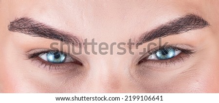beutiful blue eyes eyelashes with makeup macro capture
