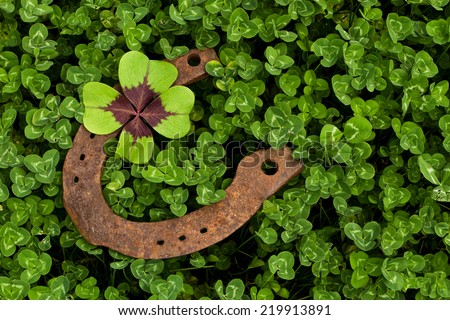 horseshoe with four leaf clover in clover field