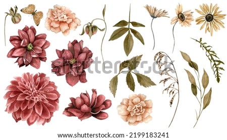 Watercolor autumn floral clipart set with marsala dahlia flowers, chamomile, marigold, fall hand painted elements isolated on white background