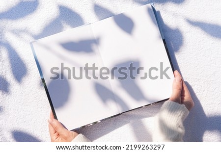 book in hands with beautiful shadow