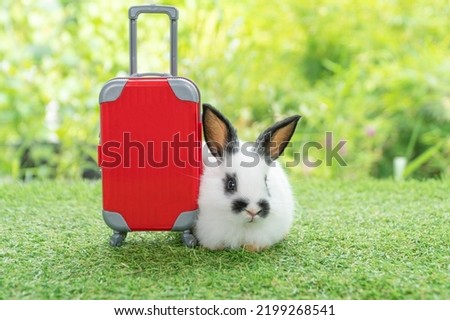 Adorable rabbit easter bunny with small red baggage sitting on green grass over spring broke background. Little bunny rabbit sitting aside red suitcase on meadow nature background. Easter pet vacation