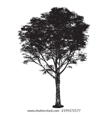 Tree in silhouette. Also in vector format. Create more plant shapes from the bottom row of leaves and plants.