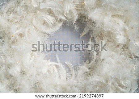 White fluffy bird feathers with round copy space, workspace, mockup and white round frame place. Light textural background of chicken, duck feathers or swan fluff. Pattern of white soft fluffy