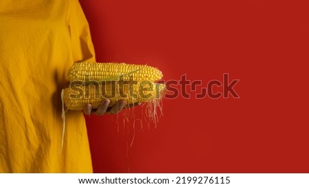 A woman in a yellow linen dress holds several ears of corn on a red background. Support for local farms. Banner, copy space.