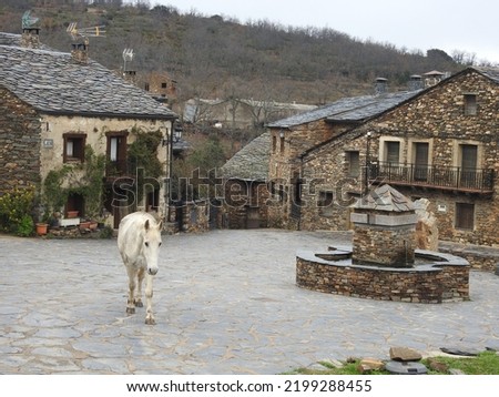 white horse walking green stone village stone grass black slate floor cat three colors brown stone houses round fountain two jets plants on facade balconies iron railing