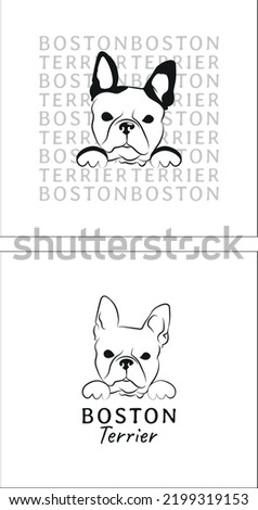 Boston Terrier dog head. Cute funny dog. Character design, isolated outline vector illustration, dog logo, American Gentleman logo, website, t-shirt, and card graphic. Terrier with paws poster.
