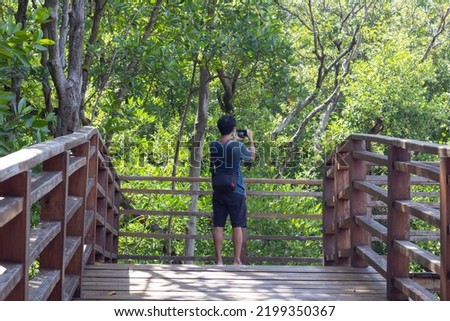 Tourists are stand taking pictures of nature in the mangrove forest on the wooden sidewalk on holiday.