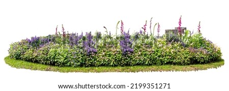 Natural flower and stone in garden isolated on white background. Garden flower part Royalty-Free Stock Photo #2199351271
