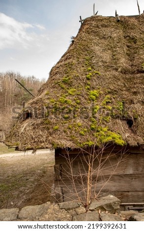 Old thatched roof on the traditional Ukrainian house covered by green moss Royalty-Free Stock Photo #2199392631