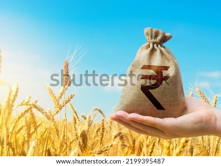 Wheat field and indian rupee money bag. Agroindustry and the agricultural business. World hunger. World food security crisis, high prices. Grains deficits, livestock feed. Starvation and famine