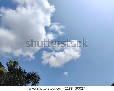 Tree top with white clouds background 