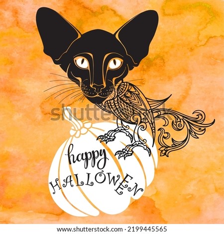 Fantastic cat character sits on a pumpkin. Vector illustration with place for text on orange watercolor background. Halloween  ornament concept. Layout decorative greeting card,  invitation.