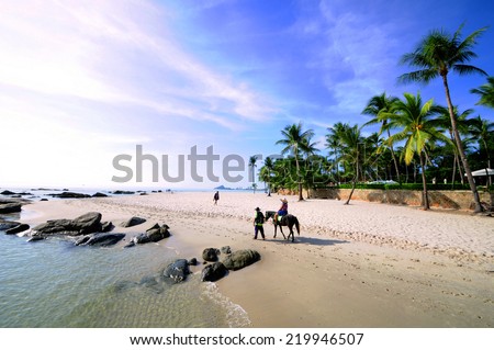 Horse on the Hua Hin beach Thailand. Royalty-Free Stock Photo #219946507
