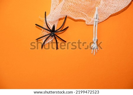two black spiders on a gauze web on an orange background with a place for text , a creative Halloween concept