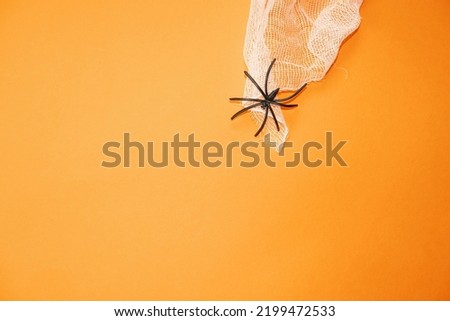 black spider on a gauze web on an orange background with a place for text , a creative Halloween concept
