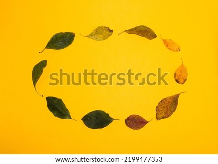 autumn leaves arranged in an ellipse, copy space, flat lay, yellow background Royalty-Free Stock Photo #2199477353