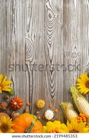 Thanksgiving day concept. Top view vertical photo of sunflowers raw vegetables pumpkins pattypan squash corn rowan berries walnuts and acorns on isolated grey wooden desk background with empty space