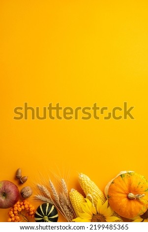 Autumn harvest concept. Top view vertical photo of raw vegetables pumpkin maize apple walnut acorns sunflowers wheat and rowan berries on isolated orange background with empty space