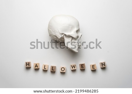 top view of white skull with halloween work written on wooden cubes