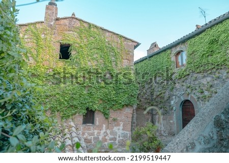 Ancient buildings of bricks of stones in sunny summer day on a background of the sky with lots of greenery in a courtyard and partially overgrown walls by climbing plants. Royalty-Free Stock Photo #2199519447
