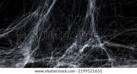 Halloween decoration concept. Artificial spider web decoration with spiders on black background