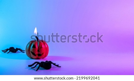 Halloween pumpkin. Black night spider, scary spooky pumpkin on night neon helloween background. Minimalistic background for autumn holidays. Space for text