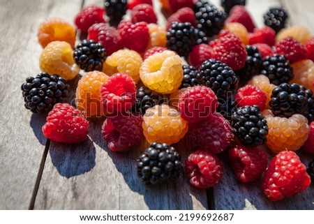 Berries of yellow and red raspberries and blackberries. Royalty-Free Stock Photo #2199692687