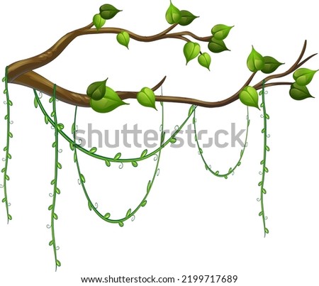 Tree branch with liana isolated illustration