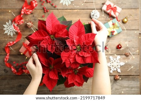 Woman with poinsettia (traditional Christmas flower) at wooden table, top view Royalty-Free Stock Photo #2199717849