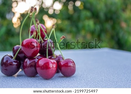 Organic ripe cherries on wooden table. Cherry fruits on blurry background.