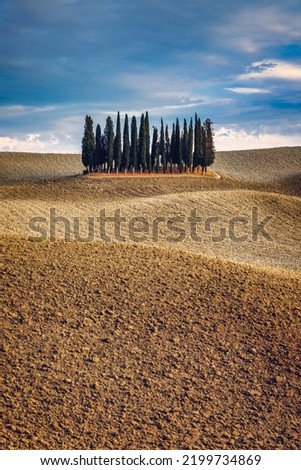 Cipressi Di San Quirico D'Orcia at golden hour with beautiful warm light and clouds on hills italian landscape in Tuscany in Italy. Group of italian cypresses called Cipressi di San Quirico d'Orcia. Royalty-Free Stock Photo #2199734869