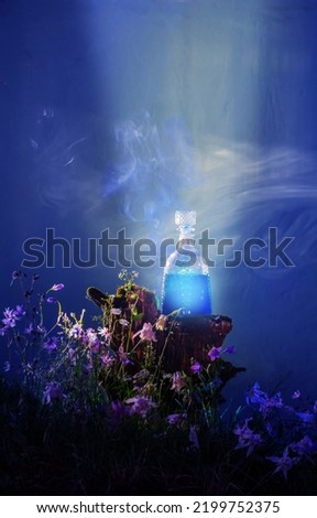 bottle of magic potions in  magical forest Royalty-Free Stock Photo #2199752375