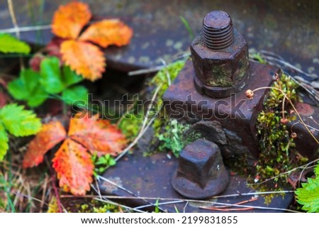 Railway track details, rusy bolts and colorful autumn leaves, close-up photo with selective focus