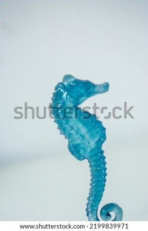 color photo of hippocampus statue made in color blue
