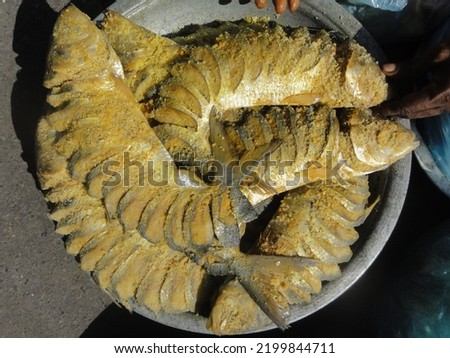 Hilsha national fish of bangladesh