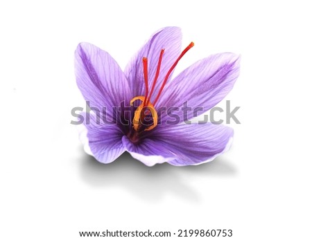 The right saffron for all your Cooking needs, such as Persian Rice, Paella, Risotto, Golden Milk, and Teas. Royalty-Free Stock Photo #2199860753