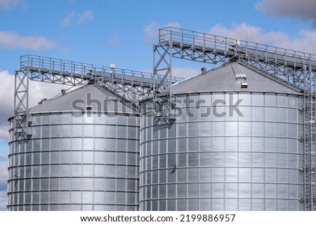 Agro silos granary elevator with seeds cleaning line on agro-processing manufacturing plant for processing drying cleaning and storage of agricultural products in rye corn or wheat field