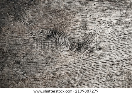 This image shows a cut tree. The natural structur is visible.