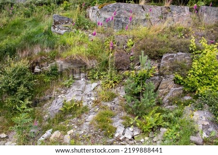 Background – natural stone wall in norway