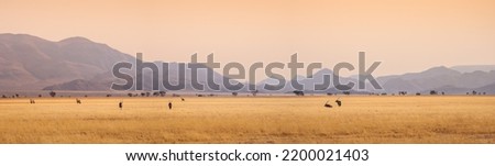 African landscape at sunset with silhouettes of mountains, Antelopes Oryx in savanna. Herd of an Oryxes in grassland in Sesriem valley, Namibia. Wildlife and safari in South Africa, panoramic view. Royalty-Free Stock Photo #2200021403