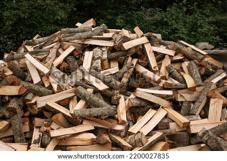 A pile of chopped wood. Firewood for kindling a furnace.