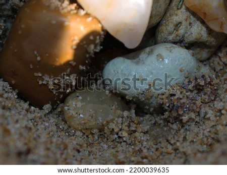 close-up photo of sandbox on the beach, yellow sea sand, colorful sea stones and sea sand