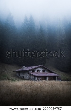 An isolated mountain hut in the foggy forest, during a cold autumn afternoon