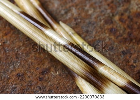 CLOSE VIEW OF SHAFTS OF SHED PORCUPINE QUILLS