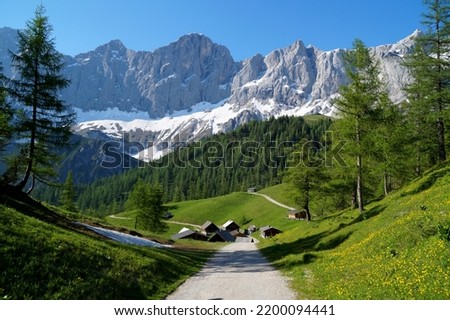 	
a beautiful alpine village Neustattalm in the Austrian Alps of the Dachstein region (Steiermark or Styria in Austria)	
                                Royalty-Free Stock Photo #2200094441