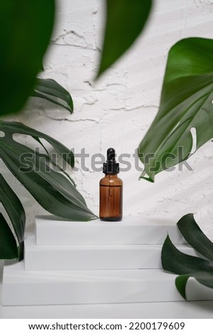 Dropper mockup with essential oil or serum on a stepped stand for product photography of cosmetics or accessories with large tropical monstera leaves.
